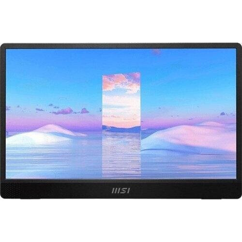 15.6-inch MSI Pro MP161 1920 x 1080 LED Monitor ...