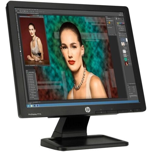 Monitor 17-inch HP ProDisplay P17A - BlackOur ...