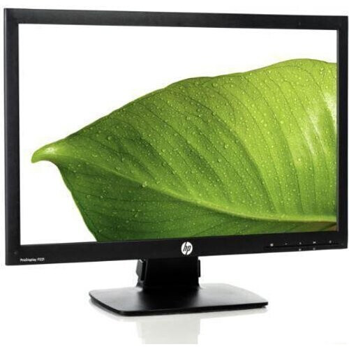 21,5-inch ProDisplay P221 1920 x 1080 LED Monitor ...