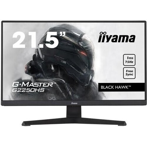 22-inch Iiyama G-Master G2250HS-B1 1920 x 1080 LCD ...