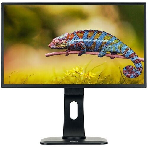 23.6-inch Iiyama Prolite XB2481HS 1920 x 1080 LCD ...