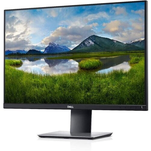24-inch Dell P2421 1920 x 1200 LCD Monitor Black ...