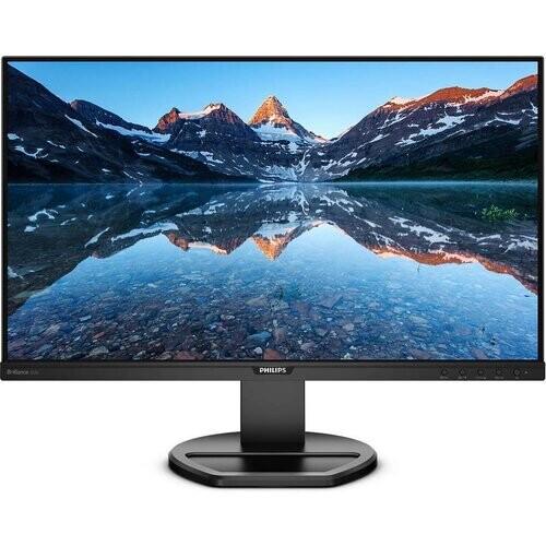 25-inch Philips 252B9 1920 x 1080 Monitor ...