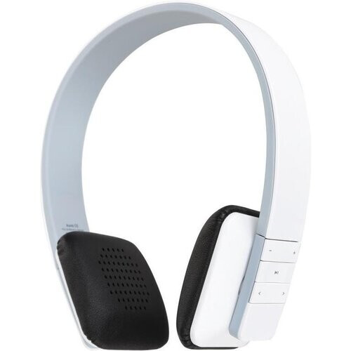 All of of our products come with a 12 month ...