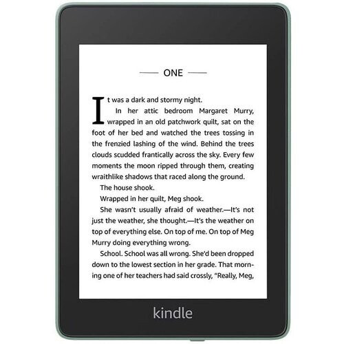 Amazon Kindle Paperwhite E-Reader 8GB - Sage green ...