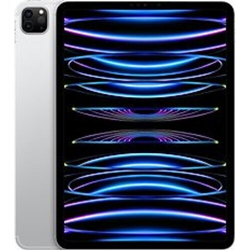 De Apple iPad Pro 11 256GB uit 2022 in de elegante ...
