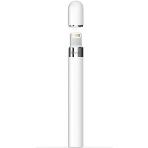 Apple Pencil 1. Generation (2024) - Eingabestifte ...