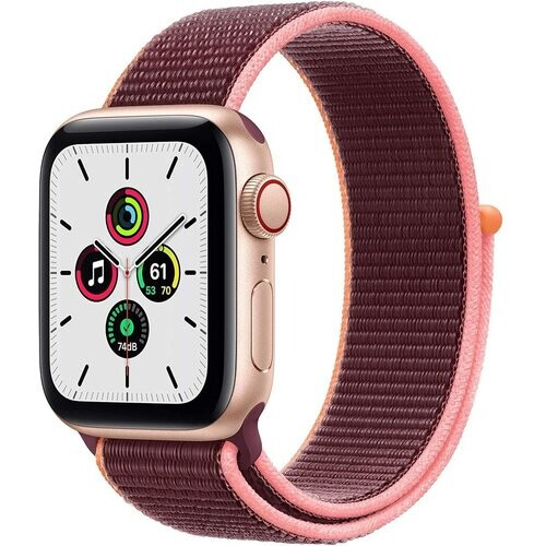 PRODUCT OVERVIEW:Apple Watch SE has the same ...