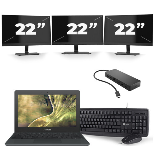Frontend naam:Asus C204M + 3x 22 inch ...