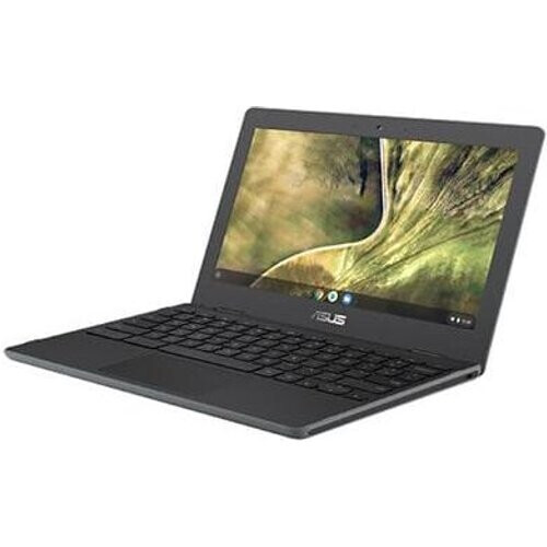 Asus Chromebook C204 Celeron 1.1 GHz - 4 GB - SSD ...