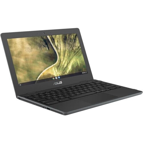 ASUS Chromebook C204MA-BU0327 2 GHz 32GB SSD - 4GB ...