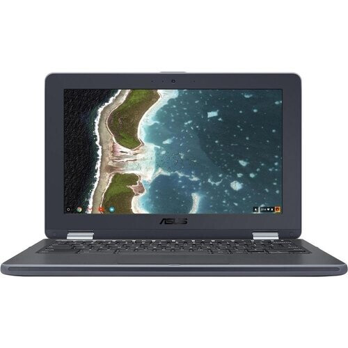 The ASUS 11.6" C213SA-YS02 Multi-Touch 2-in-1 ...