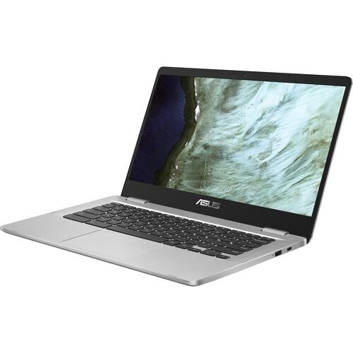 Asus Chromebook C523NA-EJ0446 Celeron 1,1 GHz 64Go ...