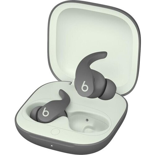 Beats By Dr. Dre Beats Fit Pro Earphones - Sage ...