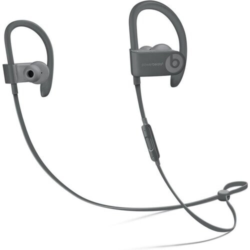 Beats by Dr. Dre Powerbeats3 Wireless In-Ear ...