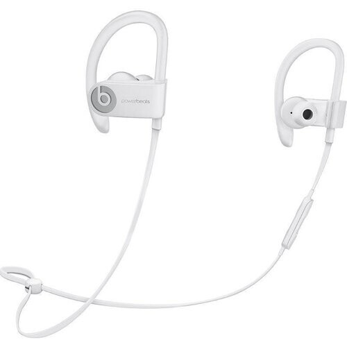 Beats by Dr. Dre Powerbeats3 Wireless In-Ear ...