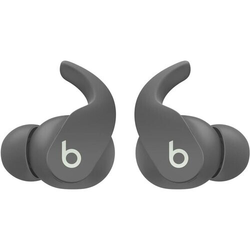 Beats Fit Pro True Wireless Earbuds - Sage Gray ...