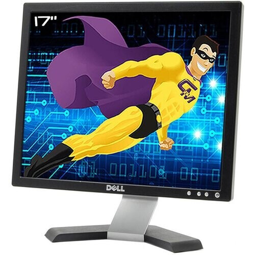 Bildschirm 17" LCD SXGA Dell E177FPC ...