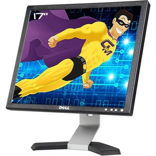 Bildschirm 17" LCD SXGA Dell E178FPB ...