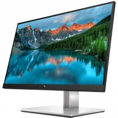 Bildschirm 21" LCD HP EliteDisplay E22 G4 ...