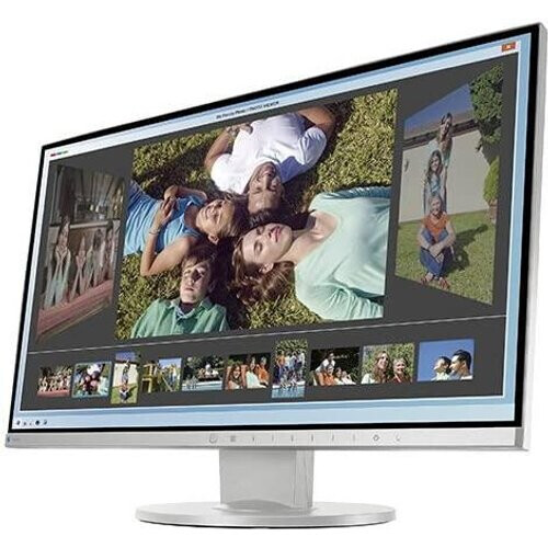 Bildschirm 23" LED Full HD Eizo FlexScan ...