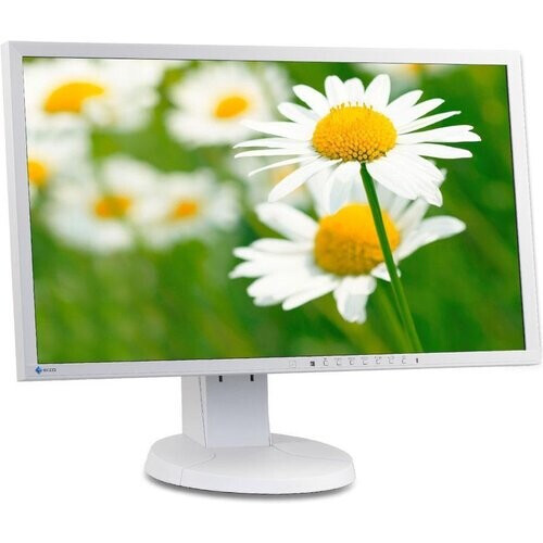 Bildschirm 24" LCD WUXGA Eizo FlexScan EV2416W ...