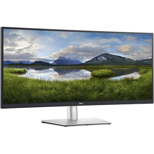 Bildschirm 34" LED Dell P3421W ...