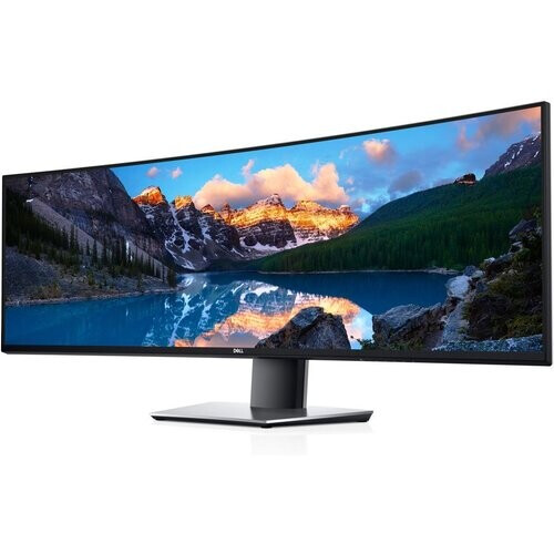 Bildschirm 49" LCD QHD Dell UltraSharp 49 U4919DW ...