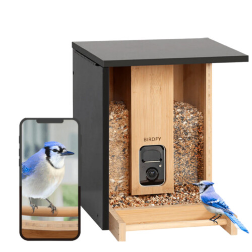 Ontdek de BIRDFY Bamboo 7 Days, het perfecte ...
