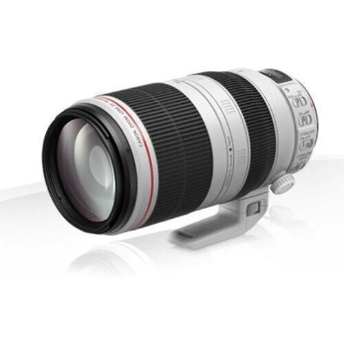 Canon EF 100-400 / 4.5-5.6 L IS II USM lens ...