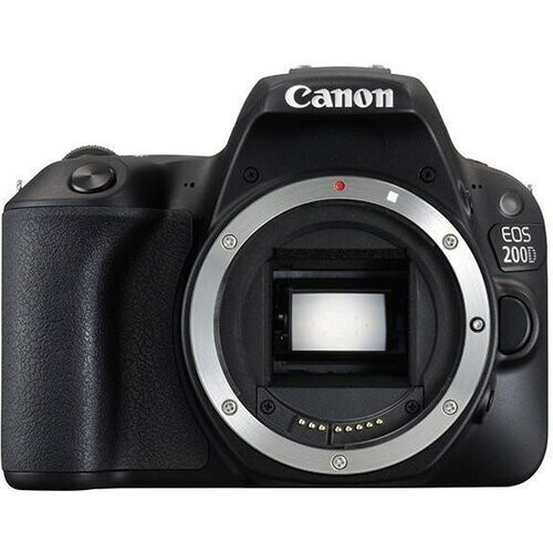 Canon EOS 2000D - Negro + Canon Zoom Lens EF-S ...