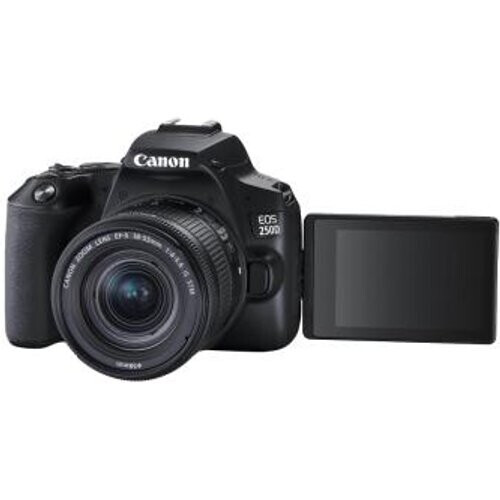 Canon EOS 250D con objectivo EF-S 18-55 3.5-5.6 ...