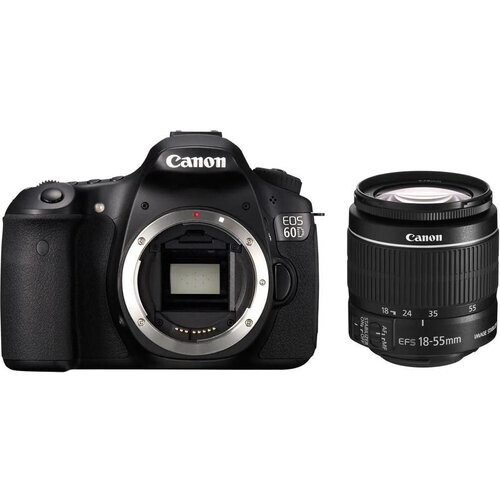 Canon EOS 60D - Negro + Canon Zoom Lens EF-S ...
