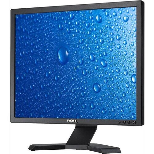 19" LCD monitor 1280 x 1024 at 75 Hz Brightness ...