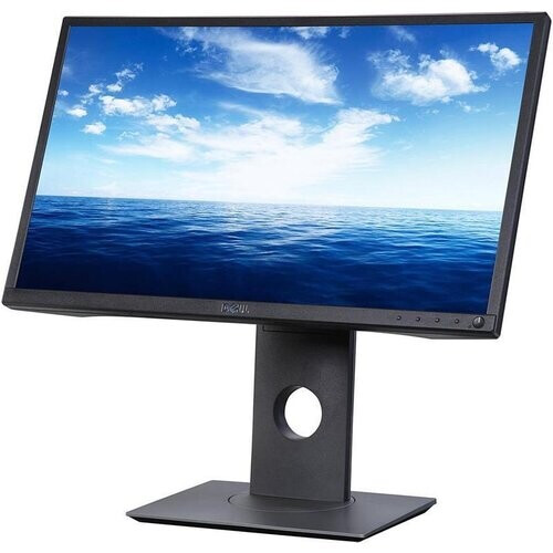 Dell 22-inch Monitor 1680 x 1050 LCD (P2217) ...