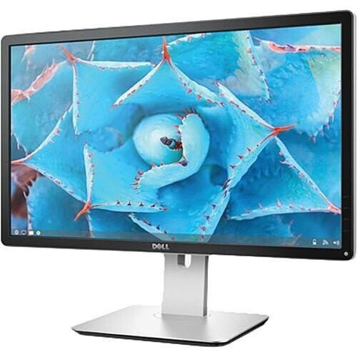 In-Plane Switching (IPS) Technology DisplayPort ...