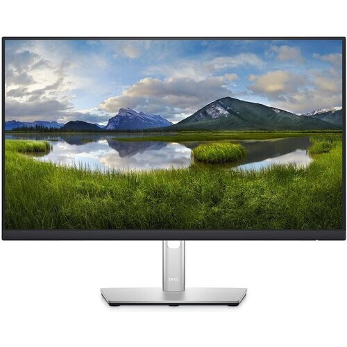 Dell 23.8-inch Monitor 1920 x 1080 LED (P2422HE) ...