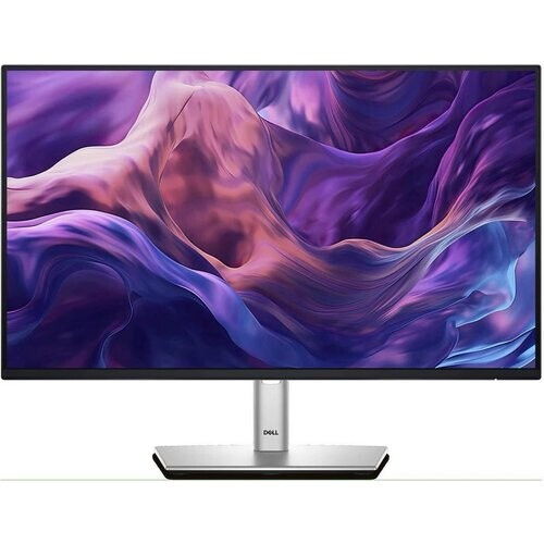 DELL 24" P2425H Full HD 100hz IPS LCD Monitor ...