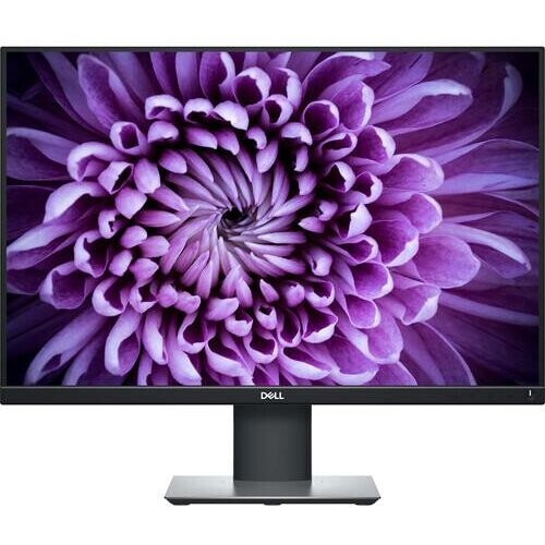 24.1" In-Plane Switching (IPS) Panel, 1920 x 1200 ...