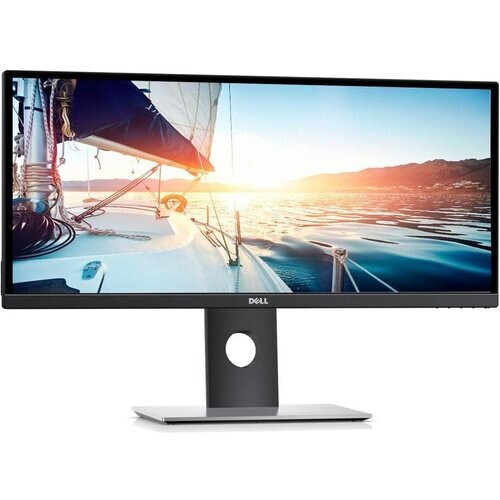 Dell 29-inch Monitor 2560 x 1080 LCD (U2917W) ...