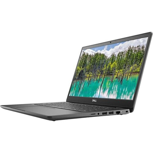 Dell Latitude 3410 14" Core i5 1.7 GHz - SSD 1000 ...