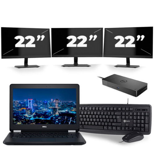 Frontend naam:Dell Latitude E5270 + 3x 22 inch ...