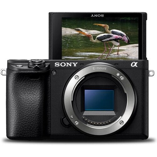 DSLR - Sony Alpha 6400 - Negro ...