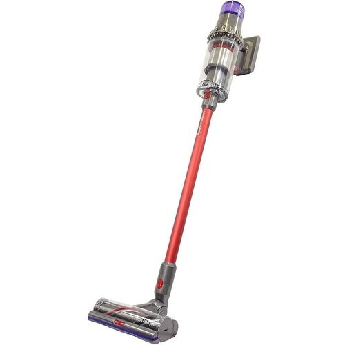 he Dyson V11 Animal+ (Model SV15) in Sprayed ...