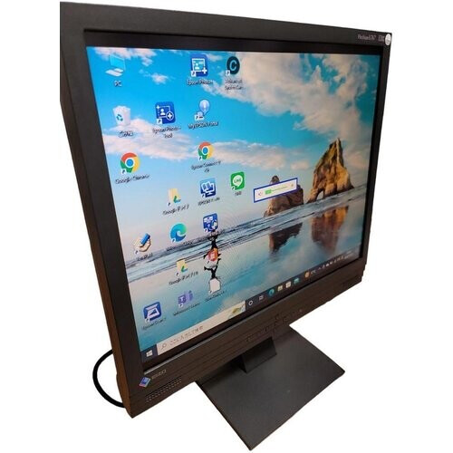 EIZO L767 19IN ANA. DIG. 48,3 cm (19") 1280 x 1024 ...