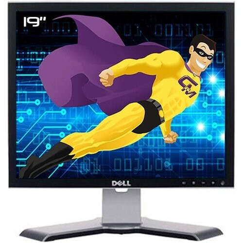 Écran 19" LCD SXGA Dell 1908FPB ...