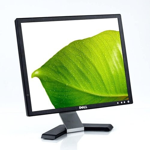 Ecran 19" LCD Dell E196FPf ...