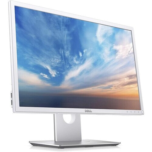 Écran 22" LED WXGA+ Dell P2217WH ...