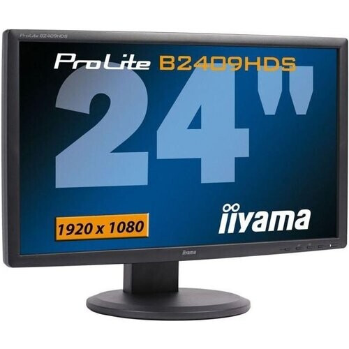 Écran 23" LCD FHD Iiyama ProLite B2409HDS-1 ...