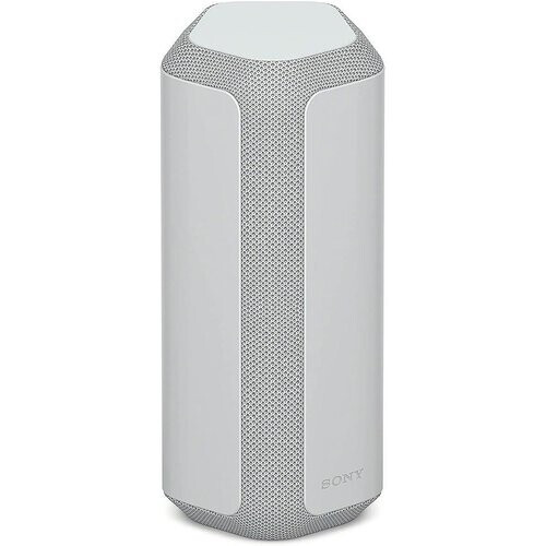 Enceinte Bluetooth Sony SRS-XE300 - Gris ...